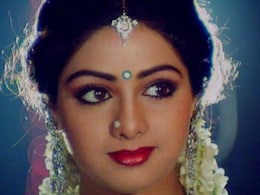 वही शोखी, वही अदाएं, हूबहू वैसी चुलबुली आंखें, श्रीदेवी की इस हमशक्ल को देख कर फैन्स हैरान