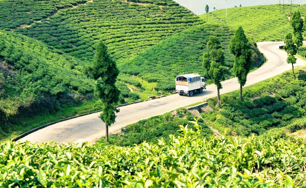 Latest and Breaking News on NDTV