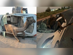Camel Breaks Through Car&#039;s Roof, Gets Stuck After Head-On Crash In Rajasthan