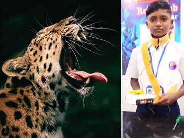 Nandurbar News : हल्ला करणाऱ्या बिबट्याला लागेल 300 वॅटचा झटका, आश्रम शाळेतील ‛रेन्चो’चं जिल्ह्यात होतंय कौतुक