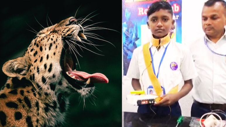 Nandurbar News : हल्ला करणाऱ्या बिबट्याला लागेल 300 वॅटचा झटका, आश्रम शाळेतील ‛रेन्चो’चं जिल्ह्यात होतंय कौतुक