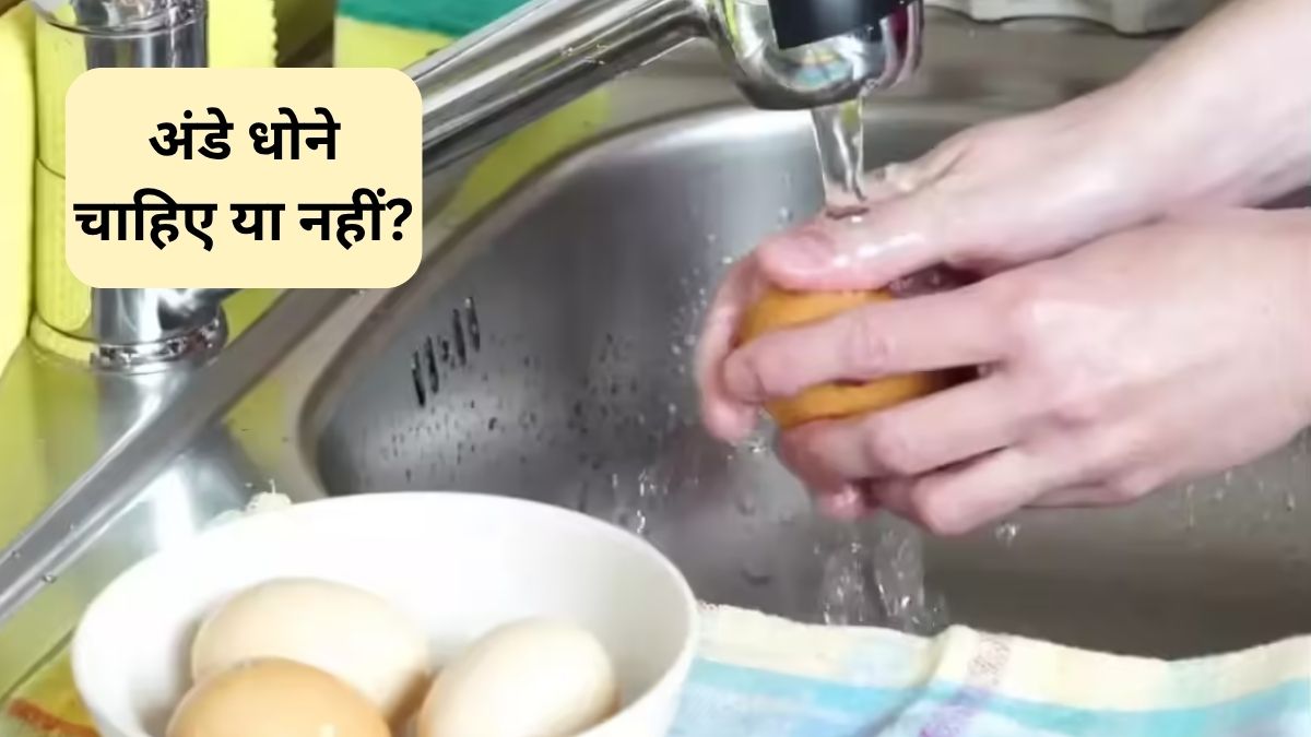 Egg Hygiene: क्या अंडे बनाने से पहले धोने चाहिए, जानिए क्या कहती है रिसर्च, फायदेमंद या नुकसानदायक