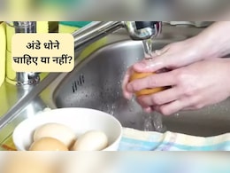 Egg Hygiene: क्या अंडे बनाने से पहले धोने चाहिए, जानिए क्या कहती है रिसर्च, फायदेमंद या नुकसानदायक