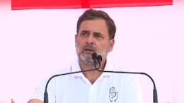 MP आएंगे राहुल गांधी; कांग्रेस की &lsquo;पाठशाला&rsquo; में होंगे शामिल, जिला अध्यक्षों से वन टू वन करेंगे चर्चा