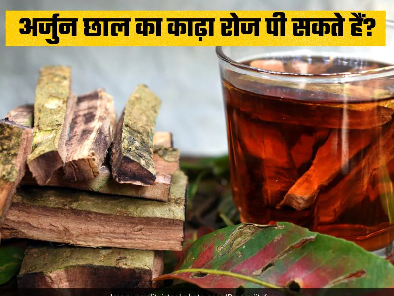 सिर से लेकर पांव तक इन बीमारियों के लिए काल है अर्जुन की छाल, जानिए कैसे करना है सेवन