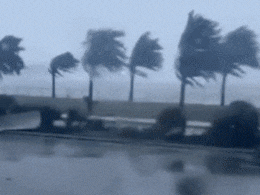 Video | खिड़कियां चकनाचूर, ताश के पत्तों की तरह उड़ीं छत... अब वियतनाम में कलमेगी तूफान से तबाही, 5 की मौत 