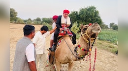 SIR के लिए ऊंट की सवारी करके घरों तक पहुंच रहे अधिकारी, इस जिले के SDM की अनोखी पहल