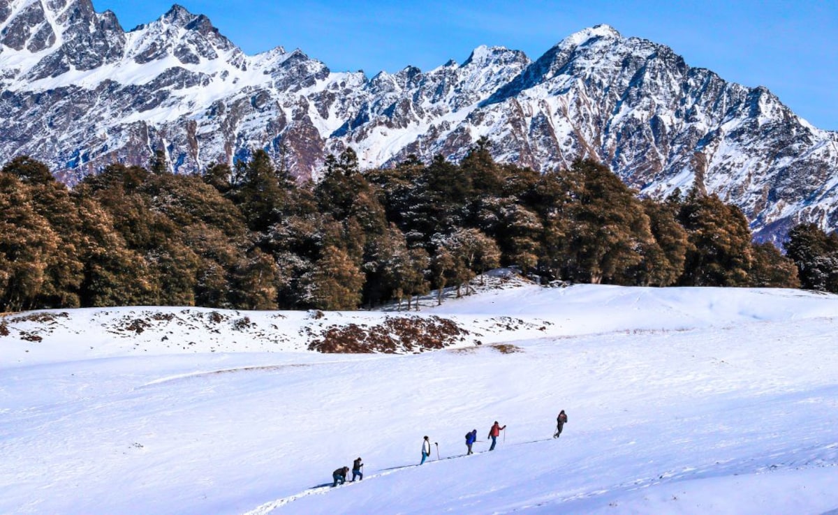 Latest and Breaking News on NDTV