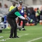 Nigeria Coach Blames Voodoo After World Cup Hopes Crushed