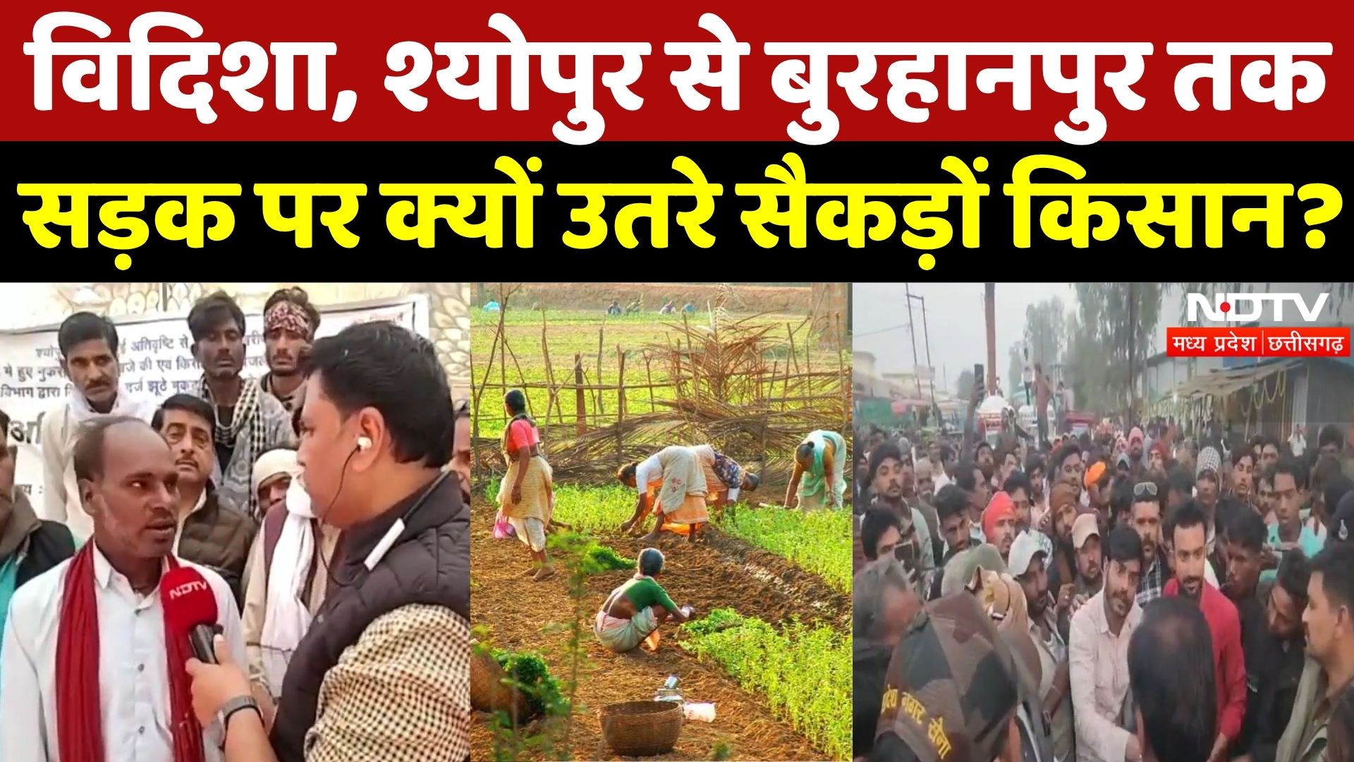 MP Farmers Protest: सड़क पर क्यों सैकड़ों किसान? | Crops Damage | Vidisha | Farmers News | Latest