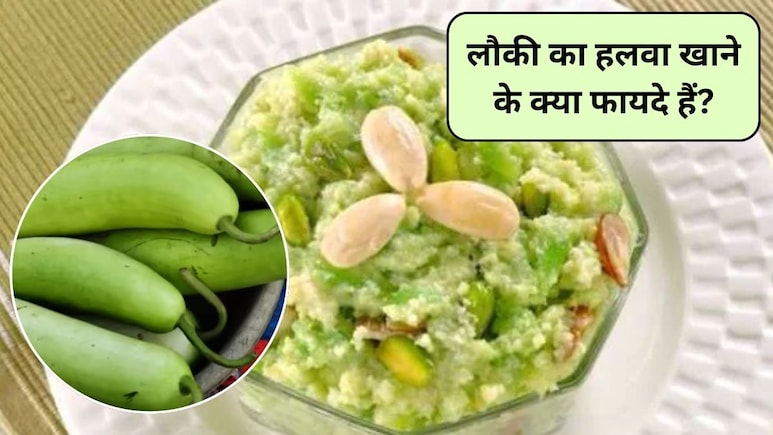 सर्दी में जरूर खाएं घीया का हलवा, पाचन तंत्र होगा मजबूत, बॉडी के अंग-अंग को मिलेगी एनर्जी, स्टडी से जानिए लौकी के हलवे के फायदे