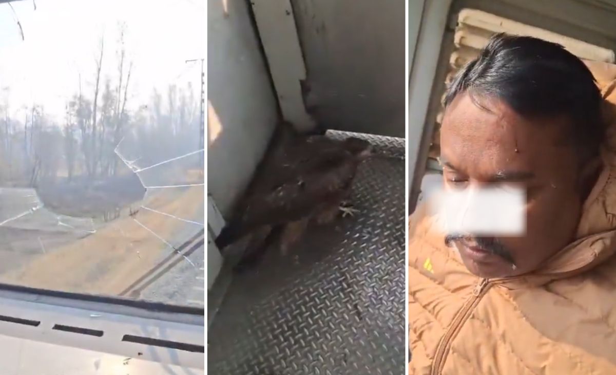 चलती ट्रेन से टकराई चील, केबिन का कांच हुआ चकनाचूर, ड्राइवर घायल, VIDEO