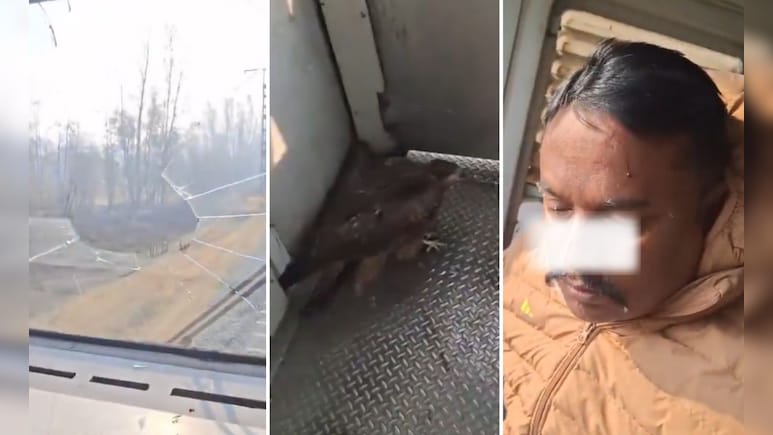 चलती ट्रेन से टकराई चील, केबिन का कांच हुआ चकनाचूर, ड्राइवर घायल, VIDEO