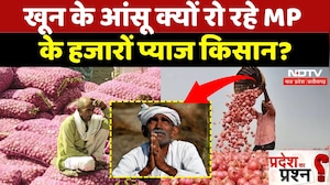Onion Farmers Protest: क्यों रुला रही प्याज?| Khandwa | MP | Crops Damage | MP | Onion Rate | Latest