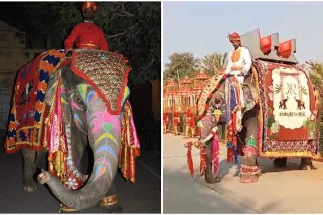 Latest and Breaking News on NDTV Latest and Breaking News on NDTV