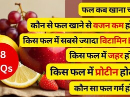 किस फल में सबसे ज्‍यादा विटामिन B12 होता है, कौन सा फल वजन बढ़ता है, किस फल में प्रोटीन होता है, फल कब खाने चाहिए, फल खाने के फायदे-नुकसान | 28 FAQs