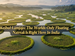 Keibul Lamjao: The Worlds Only Floating National Park Is Right Here In India