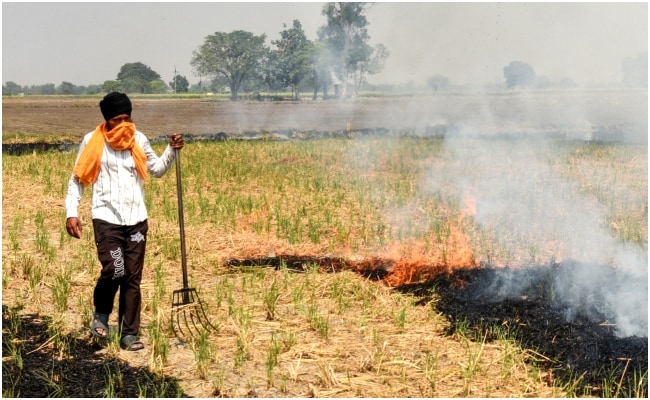 Latest and Breaking News on NDTV