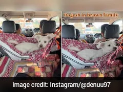 Creative Hack For Travelling With Pet Dog Wins Internet: 