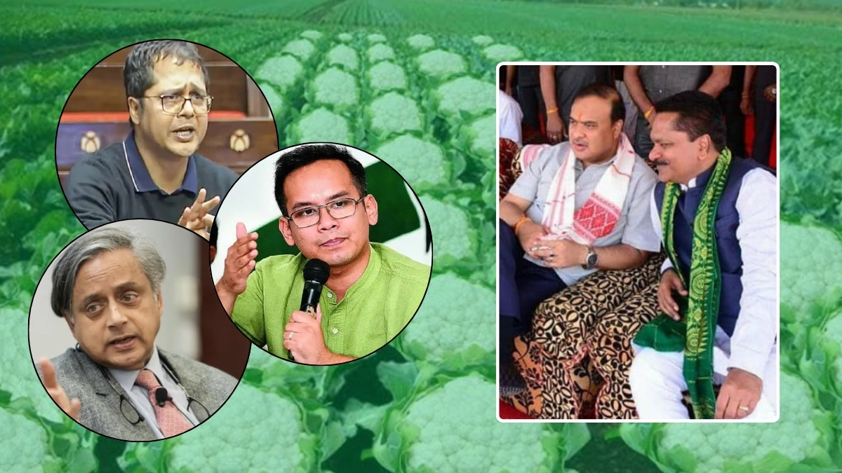 बिहार में 'गोभी की खेती' पर क्‍यों नहीं थम रहा बवंडर? जानिए विवाद की पूरी कहानी