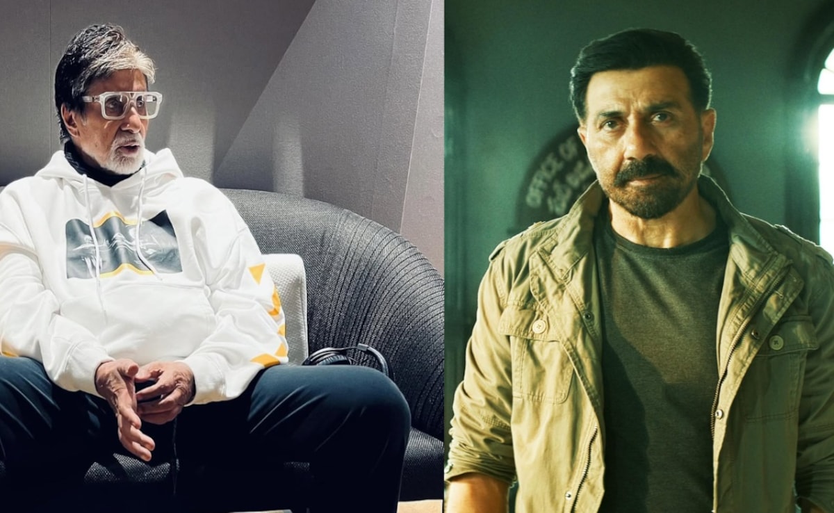 बिग बी बेचते दूध, कुमार सानू बजाते तबला, फिल्मों में नहीं होते तो ये काम करते नामी एक्टर्स, हैरान करेगा सनी देओल का जवाब