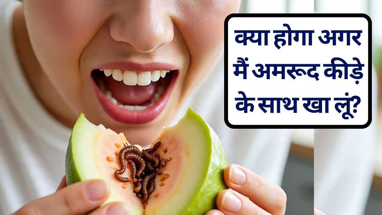 क्या होगा अगर मैं गलती से अमरूद कीड़े के साथ खा लूं? ये लक्षण आएं तो हो जाएं सावधान