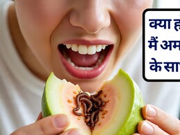 क्या होगा अगर मैं गलती से अमरूद कीड़े के साथ खा लूं? ये लक्षण आएं तो हो जाएं सावधान