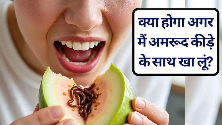 क्या होगा अगर मैं गलती से अमरूद कीड़े के साथ खा लूं? ये लक्षण आएं तो हो जाएं सावधान