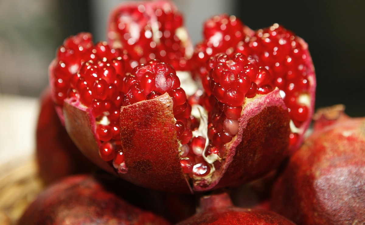 Latest and Breaking News on NDTV Latest and Breaking News on NDTV