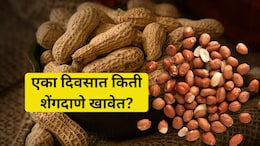 Peanut Benefits: शेंगादाणे खाण्याची योग्य पद्धत माहीत आहे का?  कच्चे की भाजलेले, कोणते ठरतात सुपरफूड? वाचा...