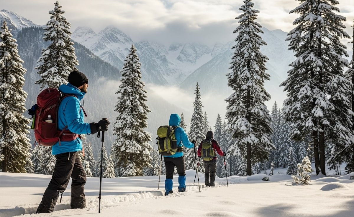 Latest and Breaking News on NDTV