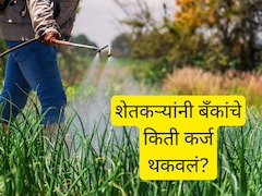 राज्यातील शेतकऱ्यांनी बँकांचं किती कर्ज थकवलं? धक्कादायक आकडेवारी