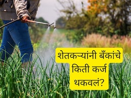 राज्यातील शेतकऱ्यांनी बँकांचं किती कर्ज थकवलं? धक्कादायक आकडेवारी; 'या' जिल्ह्यात थकबाकीची सर्वात मोठी रक्कम