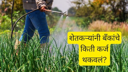 राज्यातील शेतकऱ्यांनी बँकांचं किती कर्ज थकवलं? धक्कादायक आकडेवारी; 'या' जिल्ह्यात थकबाकीची सर्वात मोठी रक्कम