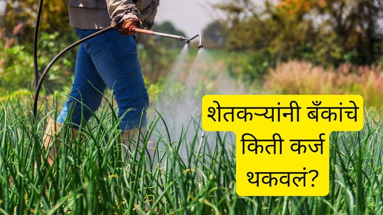 राज्यातील शेतकऱ्यांनी बँकांचं किती कर्ज थकवलं? धक्कादायक आकडेवारी; 'या' जिल्ह्यात थकबाकीची सर्वात मोठी रक्कम