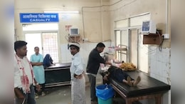 बड़वानी में पागल कुत्ते का आतंक: 7 लोग घायल, 4 की हालत गंभीर, ग्रामीणों ने कुत्ते को मारकर शांत किया खतरा