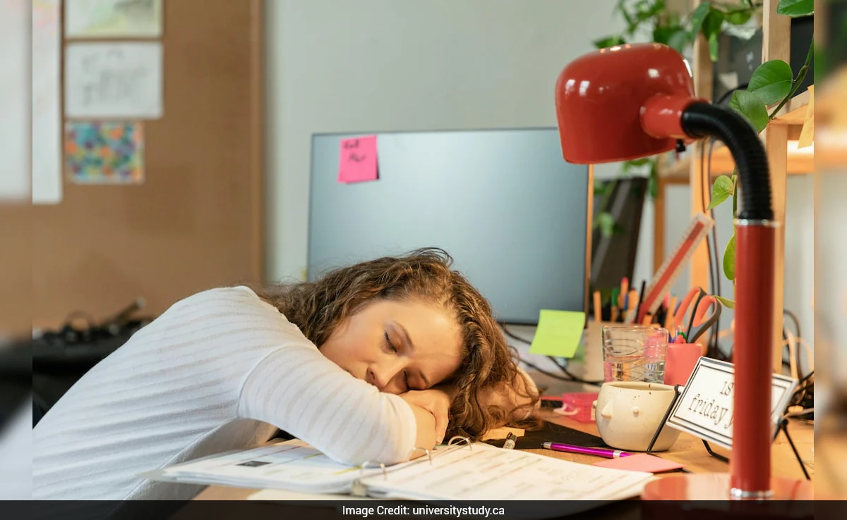 Study Smarter 2025: How Students Can Stop Procrastinating And Finally Focus On Studying