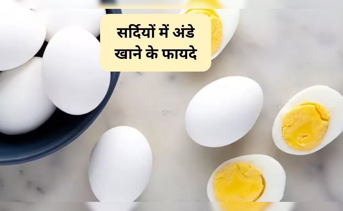 सर्दियों में कितने अंडे खाने चाहिए? 1 दिन में कितने अंडे खा सकते हैं, जानिए यहां