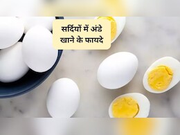 सर्दियों में कितने अंडे खाने चाहिए? 1 दिन में कितने अंडे खा सकते हैं, जानिए यहां
