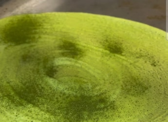 Hilarious Reaction To Matcha Dosa Is Going Viral: 'This Green Powder Is Torturing Us'