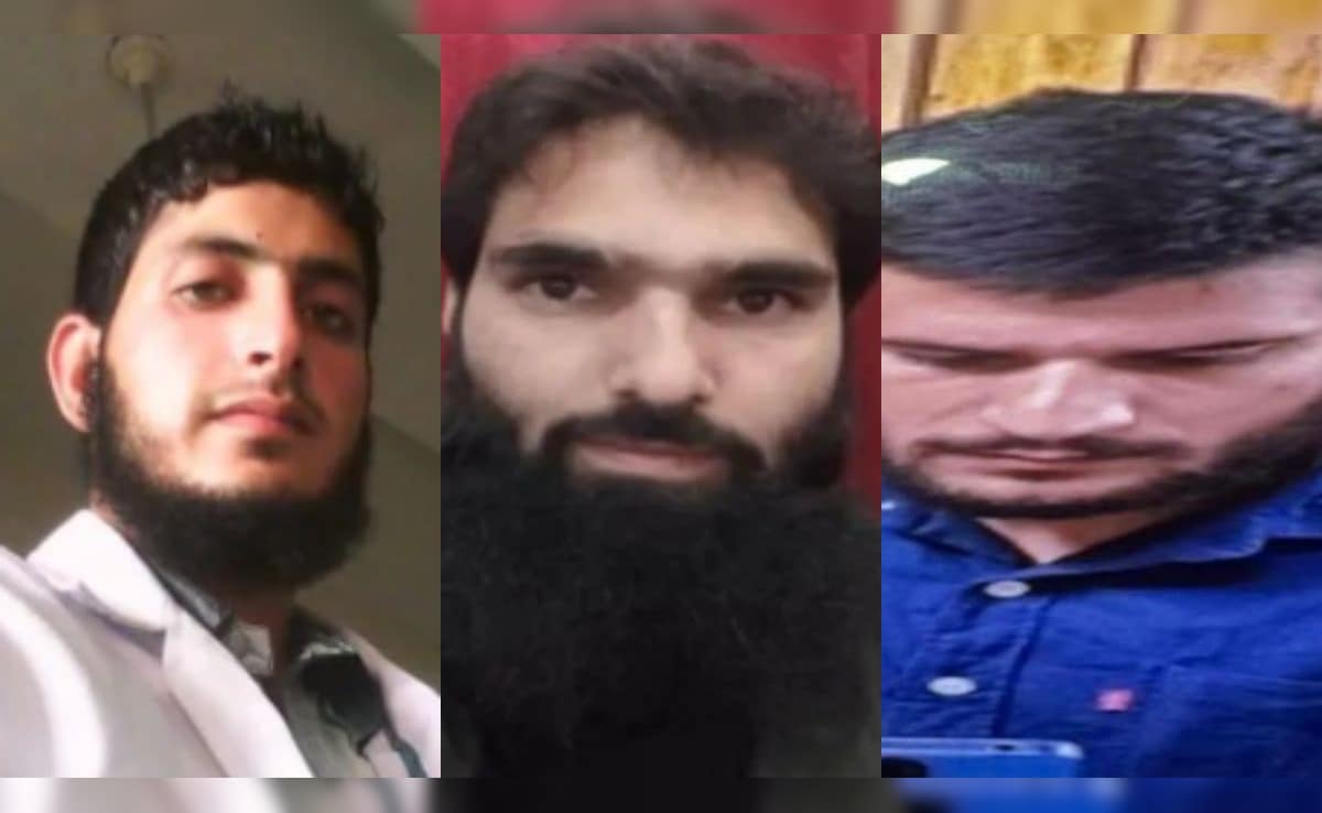 Doctor Triggered Delhi Blast In Panic? Suicide Attack Angle Being Probed