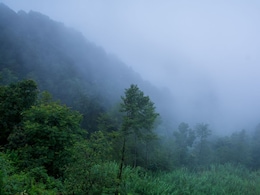 MP में शीतलहर की एंट्री! 20 जिलों में पड़ेगी कड़ाके की ठंड, पारा 10 डिग्री से नीचे पहुंचा, IMD का अलर्ट जारी
