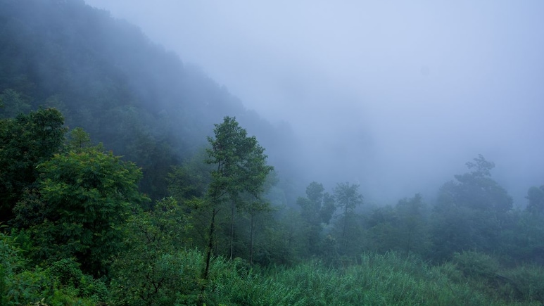 MP में शीतलहर की एंट्री! 20 जिलों में पड़ेगी कड़ाके की ठंड, पारा 10 डिग्री से नीचे पहुंचा, IMD का अलर्ट जारी