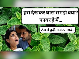 पुदीना खाने से कौन सी बीमारी ठीक होती है? पुदीना खाने के फायदे और नुकसान
