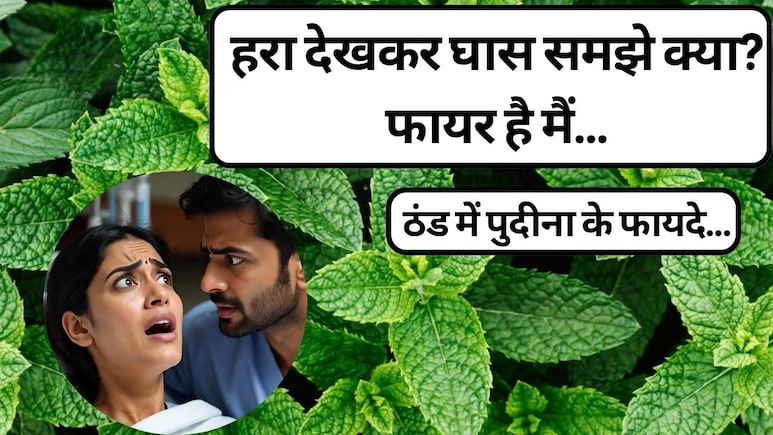 पुदीना खाने से कौन सी बीमारी ठीक होती है? पुदीना खाने के फायदे और नुकसान