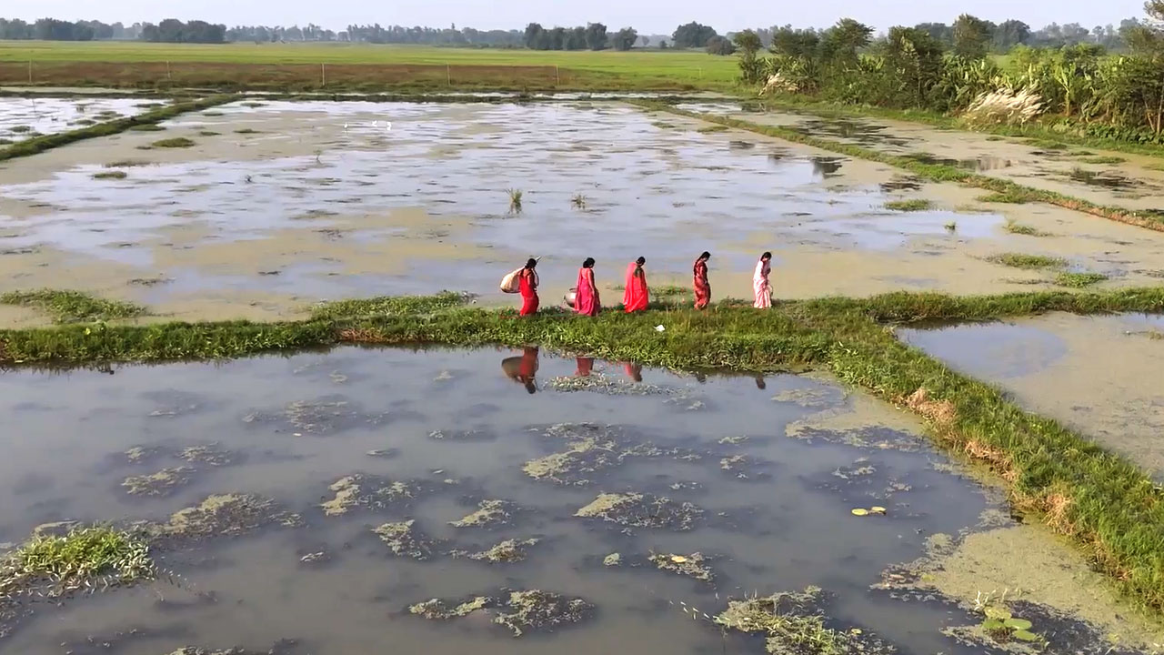 Herbalife x NDTV | From Tikamgarh's Dry Ponds to Purnia's Flourishing Fields, Women Drive Village Revival