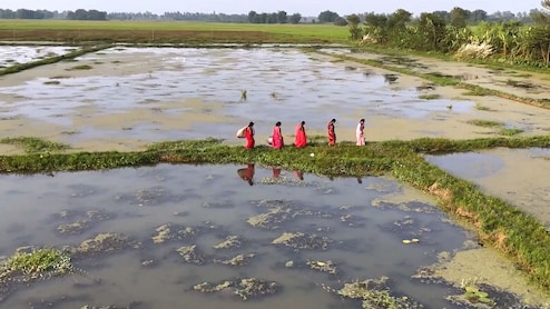 Maharashtra Village Of 1,300 Records 27,000 Birth, Death Registrations