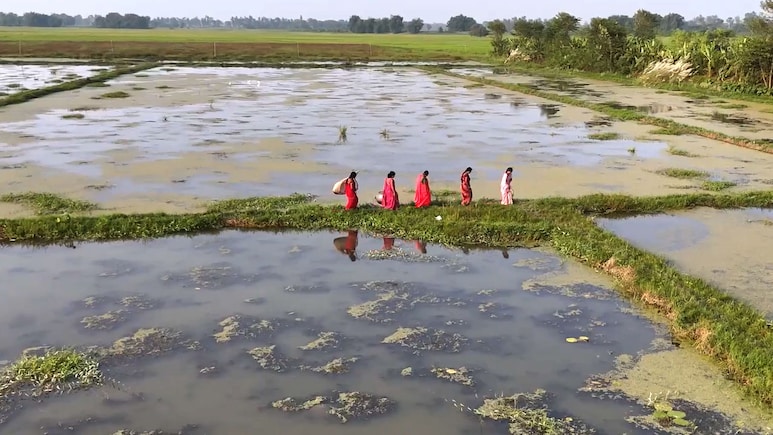 Maharashtra Village Of 1,300 Records 27,000 Birth, Death Registrations