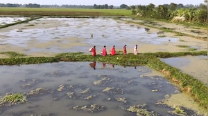 Herbalife x NDTV | From Tikamgarh's Dry Ponds to Purnia's Flourishing Fields, Women Drive Village Revival