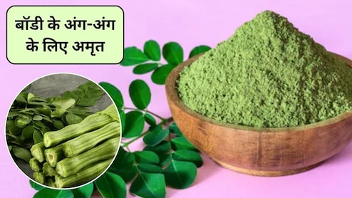 छू भी नहीं पाएगी ठंड, मोरिंगा की पत्तियां दूर करेंगी जोड़ों का दर्द समेत ये 5 बीमारियां, जानें खाने का सही तरीका